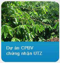 Dự án CPBV chứng nhận UTZ